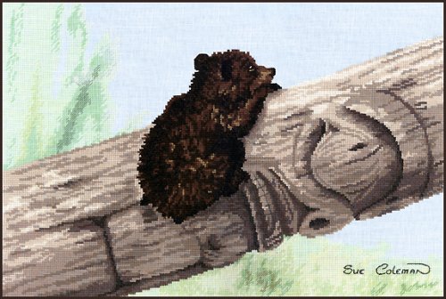 (image for) Bear Cub
